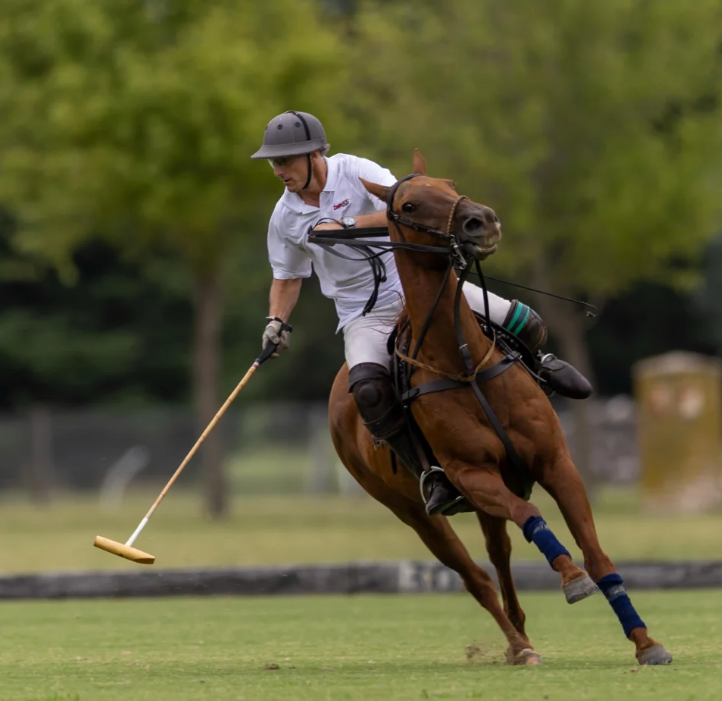 polo