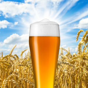 La cerveza de trigo será la bebida oficial de la 56° Fiesta Provincial del 5 al 9