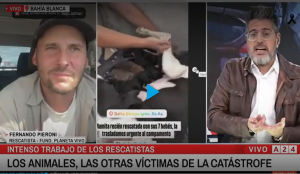 En medio de historias devastadoras, una distinta: el rescate de mascotas en Bahia