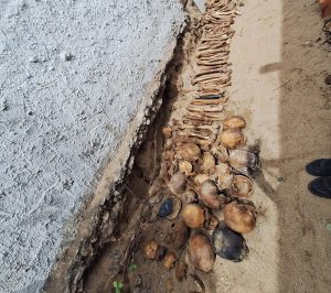 38 cráneos y huesos: el hallazgo y una bruja en la mira, que huyó para radicarse en la zona