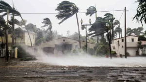 Estado presente: asi te ayudan a recuperarte en EE.UU. después de un temporal