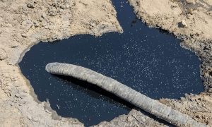 Increíble hallazgo en una escuela rural: buscaban agua y encontraron petróleo