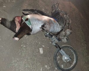 Detienen a un hombre por matar dos vacas de un campo y llevarse la carne en moto