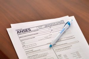 Anses informó sobre la libreta AUH y las presentaciones correspondientes a 2025