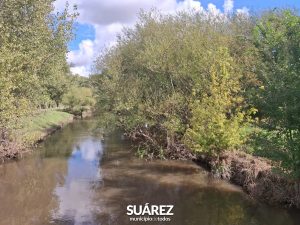 Por decisión del gobernador se iniciará la limpieza integral del Sauce Corto