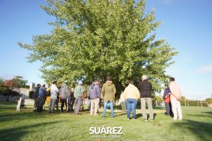 El Municipio capacita podadores para mejorar la conservación del arbolado público