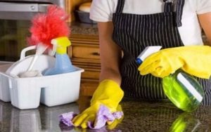 empleo domestico
